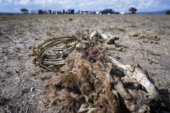 Både tørke og flaum aukar i omfang globalt. Her utanfor Nairobi i Kenya i 2022. Foto: Lise Åserud / NTB / NPK