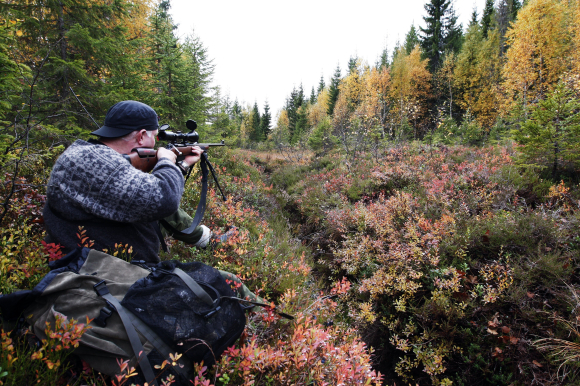 Naturvernforbundet meiner at hjortebestanden, som no tel rundt 250.000 dyr, er ute av kontroll. Dei ønskjer å redusere bestanden kraftig. Illustrasjonsfoto: Gorm Kallestad / NTB / NPK
